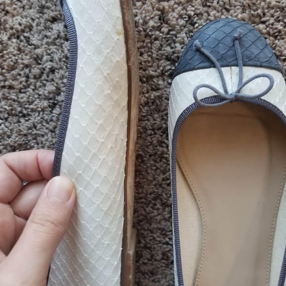 Snakeskin Flats - Picture 4 of 4